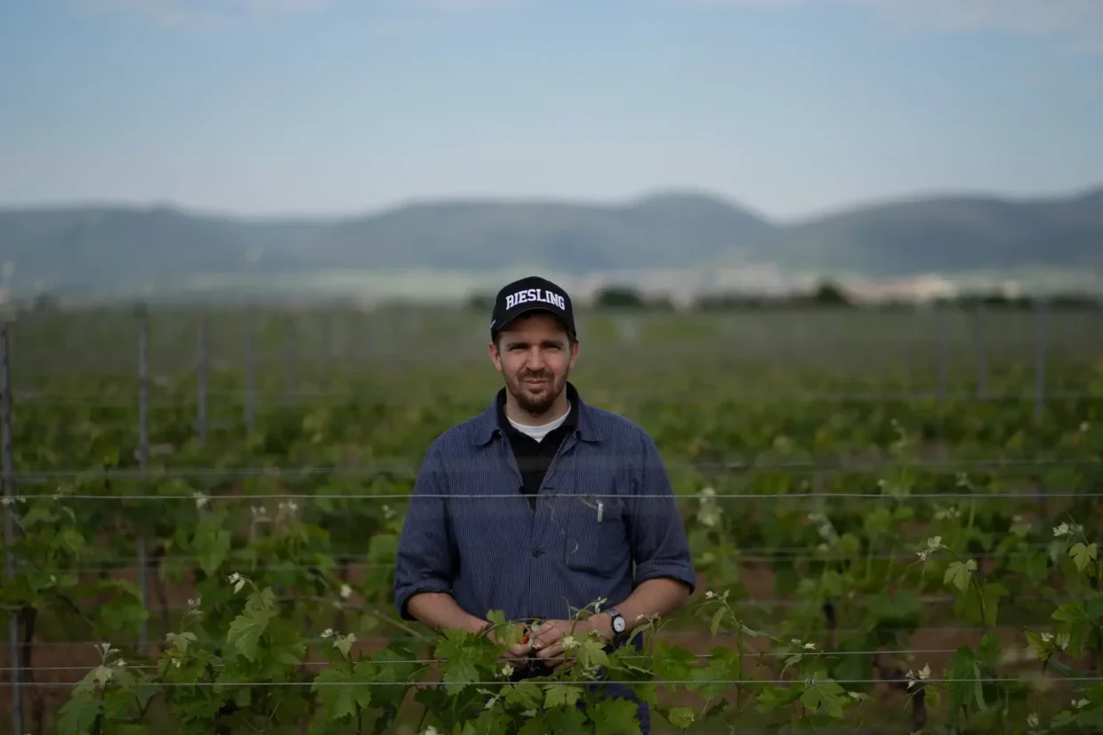 christian nett winzermeister